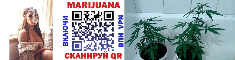 Как найти закладки Красный Холм Героин  ГАШ  Бошки Шишки  КОКАИН  СОЛЬ  АМФ 