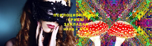 ПСИЛОЦИБИНОВЫЕ ГРИБЫ Баксан