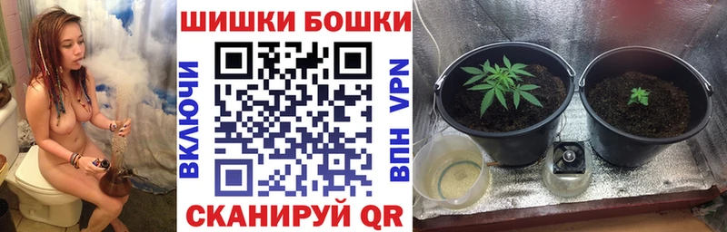 дарнет шоп  Красный Холм  площадка какой сайт  Шишки марихуана SATIVA & INDICA 